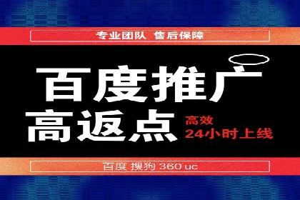 百度SEO推广公司案例精选：助力企业快速崛起